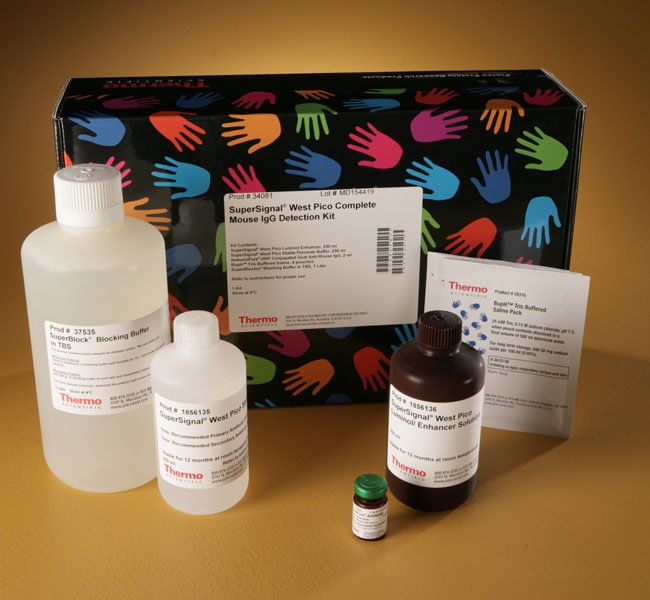 Thermo Fisher Scientific SuperSignal West Pico Complete Mouse IgG Detection Kit