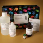 Thermo Fisher Scientific SuperSignal West Pico Complete Mouse IgG Detection Kit