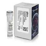 Thermo Fisher Scientific Dynabeads Human T-Activator CD3/CD28/CD137, 0.4 mL