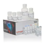 Thermo Fisher Scientific Click-iT EdU Proliferation Assay for Microplates