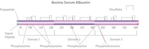 Merck BOVINE SERUM ALBUMIN SOLUTION, 35%&