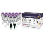 Thermo Fisher Scientific FastDigest Value Pack
