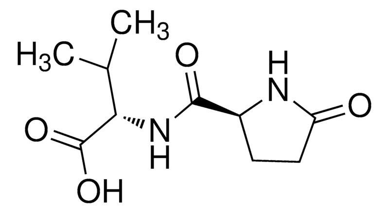 Merck Pyr-Val-OH