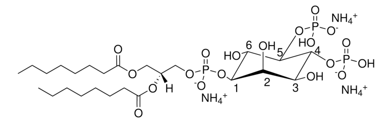 Merck 08:0 PI(4,5)P2