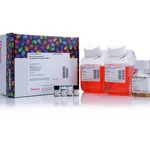 Thermo Fisher Scientific SILAC Protein Quantitation Kit (Trypsin), DMEM