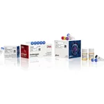 Thermo Fisher Scientific Bac-to-Bac N-His TOPO Expression System