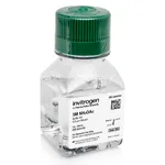 Thermo Fisher Scientific Ammonium Acetate (5 M), RNase-free, 100 mL