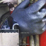 Daihan Science Chemistec PVC Anti-static Glove, Chemical Resistant, Length 260mm<br>For Multi-