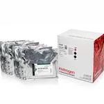 Thermo Fisher Scientific 10X TBE (powder)