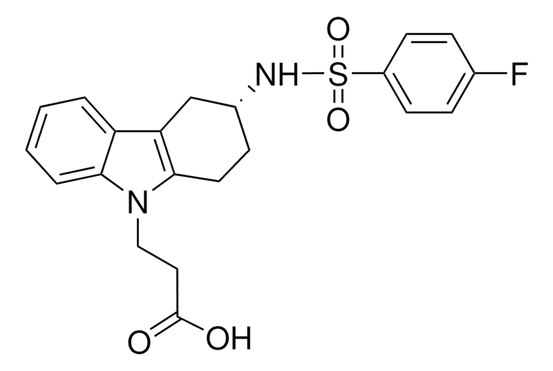 Merck Ramatroban