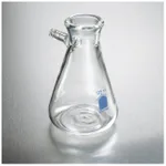 Thermo Fisher Scientific PYREX VISTA Micro Filter Flask with Sidearm Tubulation