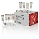 Thermo Fisher Scientific SuperScript III First-Strand Synthesis System