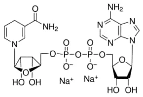 Merck BETA-NAD REDUCED FORM DISODIUM, 10 MG PR