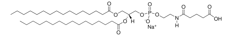 Merck 16:0 Glutaryl PE
