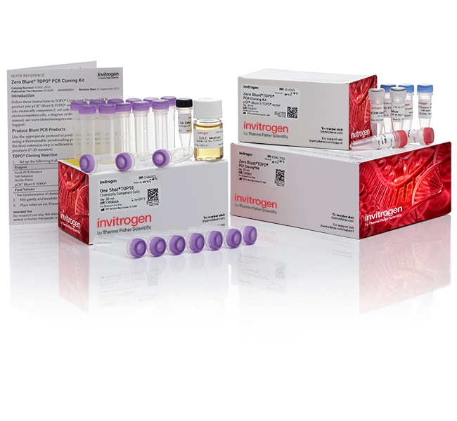Thermo Fisher Scientific Zero Blunt TOPO PCR Cloning Kit, with One Shot TOP10 Chemically Competent E. coli (Supply Center Packaging)