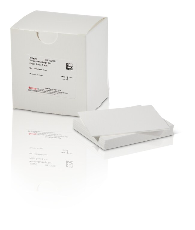 Thermo Fisher Scientific Western Blotting Filter Paper, 0.83 mm thick, 7 x 8.4 cm