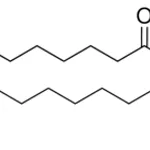 Merck Brain PE