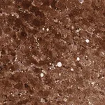Merck Anti-DDT antibody produced in rabbit