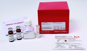 Merck ACETYL CHOLINESTERASE ACTIVITY ASSAY KIT