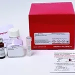 Merck ACETYL CHOLINESTERASE ACTIVITY ASSAY KIT