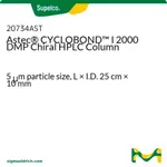 Merck Astec(R) CYCLOBOND(TM) I 2000 DMP Chiral HPLC Column