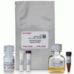 Thermo Fisher Scientific BacMam Histone H3K27me3 Cellular Assay Kit