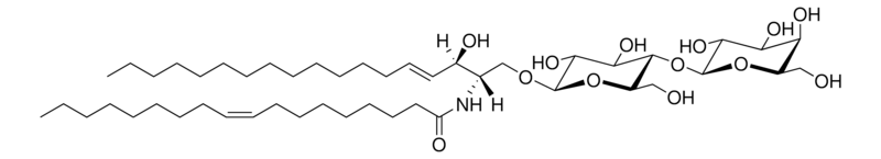 Merck C18:1 Lactosyl(beta) Ceramide (d18:1/18:1)