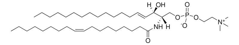 Merck 18:1 SM (d18:1/18:1(9Z))