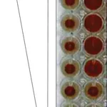 Merck LECTIN FROM GALANTHUS NIVALIS