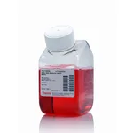 Thermo Fisher Scientific RPMI 1640 Medium for SILAC