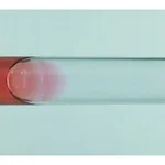 Thermo Fisher Scientific Disposable Heavy-Wall Borosilicate Glass Tubes