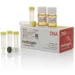 Thermo Fisher Scientific MAX Efficiency DH5α-T1<sup>R</sup> Competent Cells