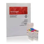 Thermo Fisher Scientific Amplex Red Cholesterol Assay Kit