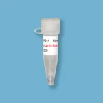 Kindle Biosciences DIGITAL ANTI-HUMAN IGG-HRP