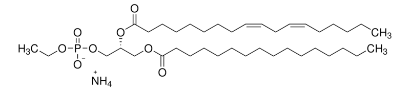 Merck PHOSPHATIDYLETHANOL 16:0/18:2 (PETH 16:0