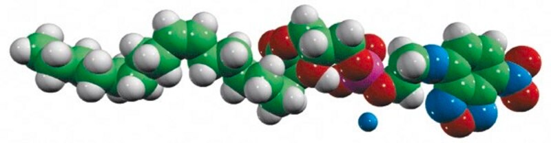 Merck 18:1 NBD Lyso PE