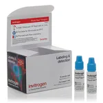 Thermo Fisher Scientific FxCycle Violet Ready Flow Reagent