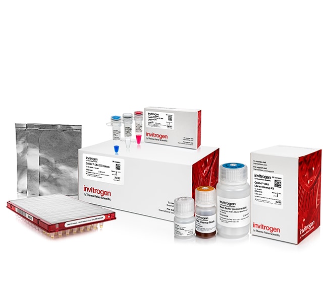 Thermo Fisher Scientific Collibri PCR-free ES DNA Library Prep Kit for Illumina Systems, with CD indexes, 24 preps