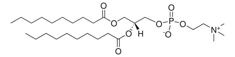 Merck 10:0 PC