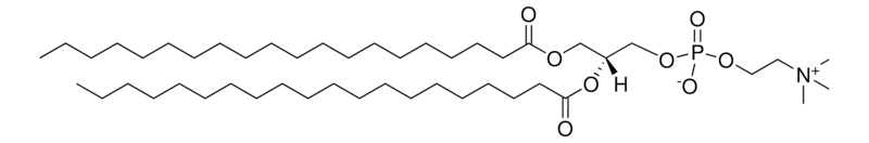 Merck 20:0 PC