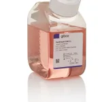 Thermo Fisher Scientific Keratinocyte-SFM (1X), with L-glutamine, without calcium chloride