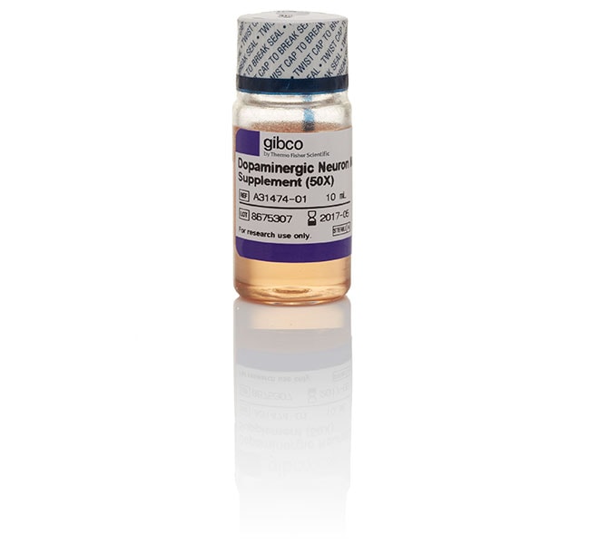 Thermo Fisher Scientific Dopaminergic Neuron Maturation Supplement