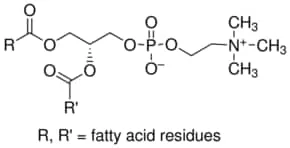 Merck L-A-PHOSPHATIDYLCHOLINE TYPE XVI-E FROM
