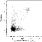 BD BV421 Rat Anti-Mouse CD122