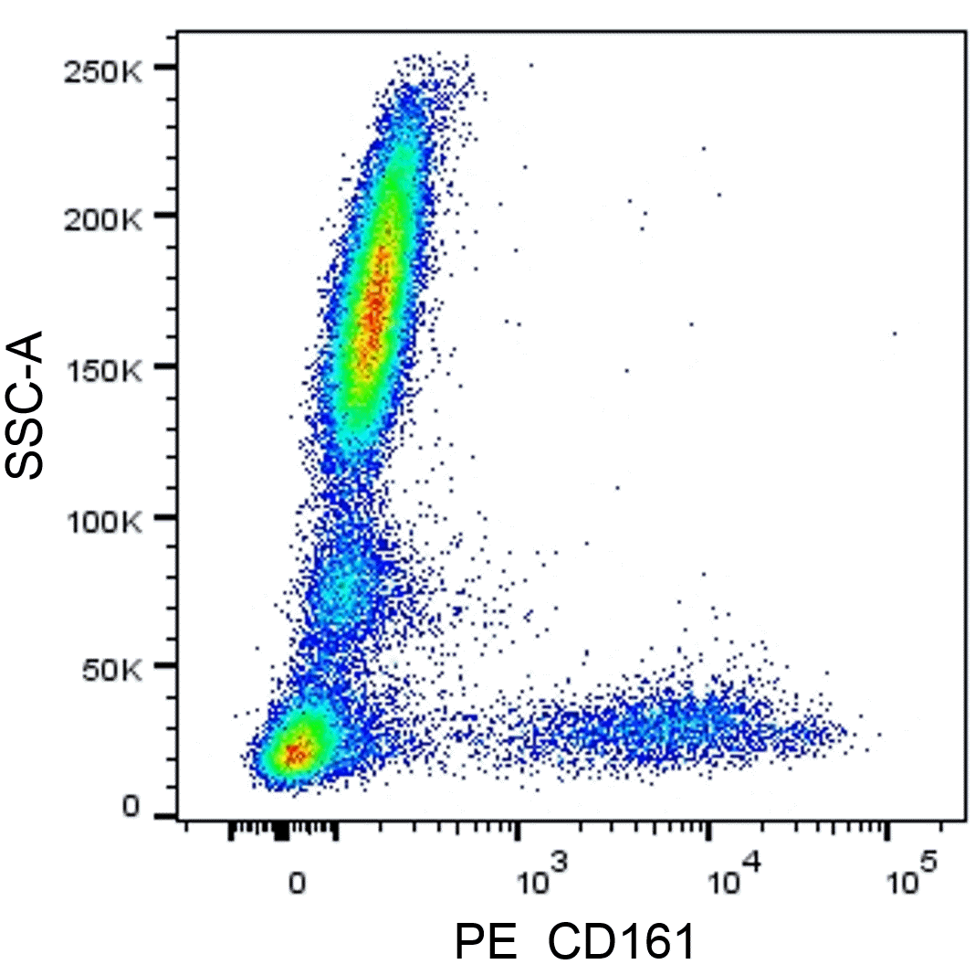 BD PE Mouse Anti-Human CD161