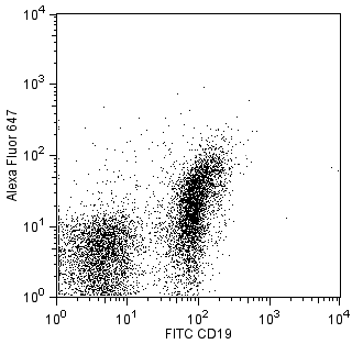 BD Alexa Fluor® 647 Rat anti-Mouse CD267