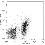 BD Alexa Fluor® 647 Rat anti-Mouse CD267