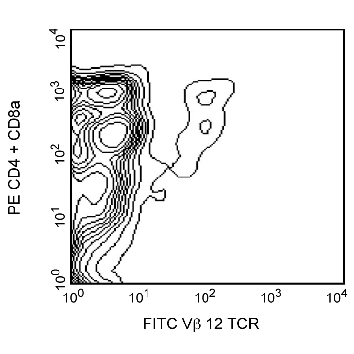 BD FITC Mouse Anti-Mouse Vβ 12 T-Cell Receptor