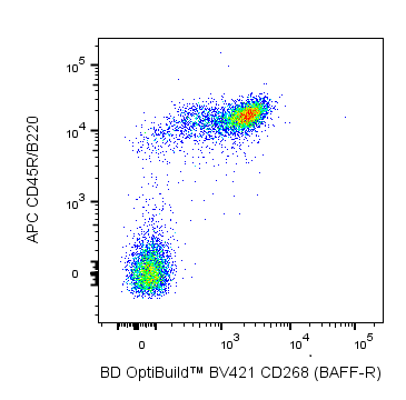 BD BV421 Rat Anti-Mouse CD268 (BAFF-R)