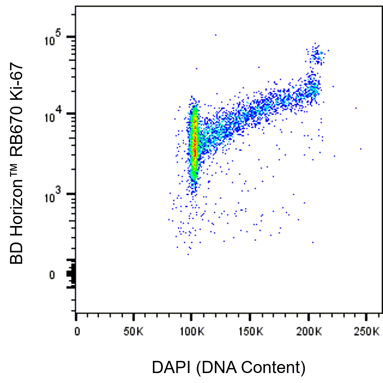 BD RB670 Mouse Anti-Ki-67